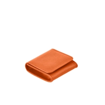 PM1013_VCGR_ORG-4