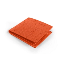 PM1054_AUT_ORG_RFID-4