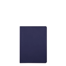 PM1137_VCLS_BLM-2
