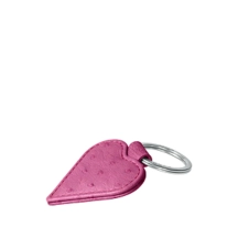 PM1388_AUT_FCS-2