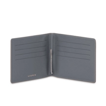 PM2001_VCLS_GRF-2