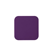 PM2013_VCLS_VIO-2