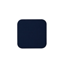 PM2013_VCST_BLM-2