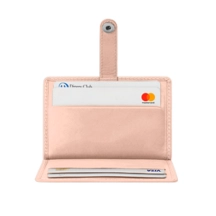 PM2050-2
