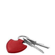 PM2065_VCLS_RGG-2