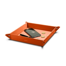 PM2076_VCLS_ORG-1
