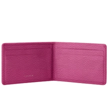 PM2079_VCGR_FCS-2