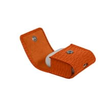 PM2089_VCGR_ORG-4