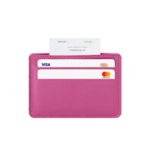 PM2095_VCLS_FCS-2