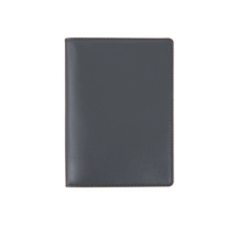 PM2100_VCLS_GRF-2