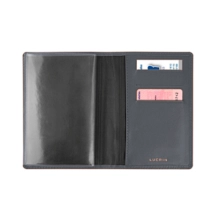 PM2100_VCLS_GRF-3