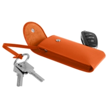 PM2107_VCLS_ORG-2