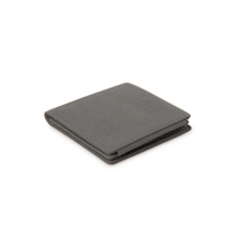 PM2113_VCGR_GRF-4