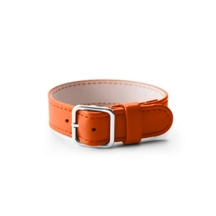 PM2143_VCLS_ORG-1