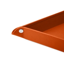 PM2155_VCGR_ORG-4