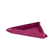 PM2156_VCGR_FCS-1