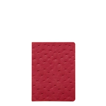 PM2163_AUT_RGG-2