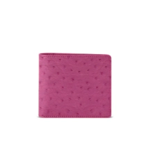PM2164_AUT_FCS-4