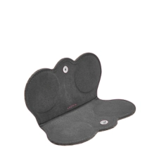 PM2165_VCGR_GRF-4