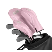 PM2171_VCGR_RSS-4