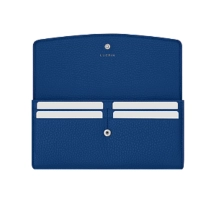 PM2174_VCGR_BLR-3