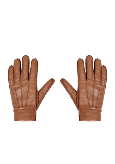 HA2020_AGNP_CGC_G85-4