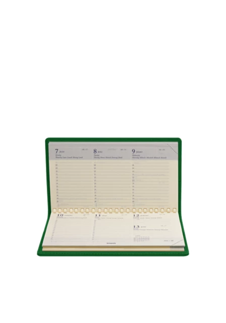 Week-To-Week pocket diary