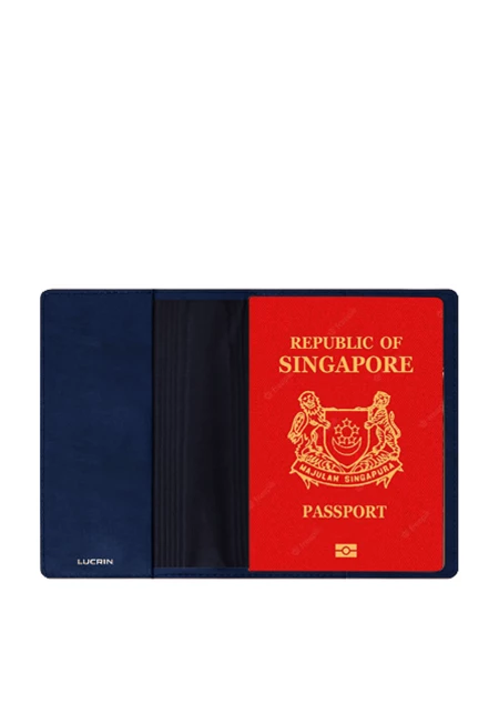 Universal passport cover