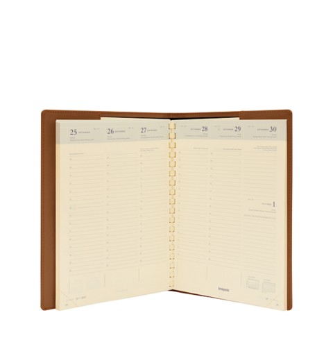 Week-to-week Desk Diary