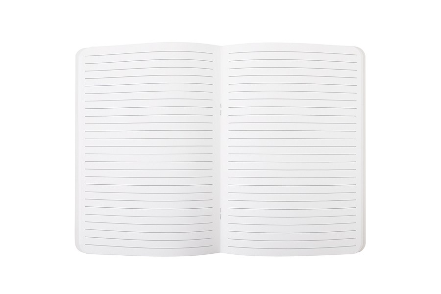 Carnet réglé